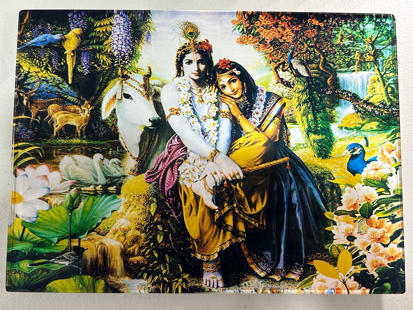 Picture Frame - Radha Krishna Vanamali - Medium